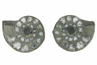 Pyritized Cut Ammonite Fossil Pair - Morocco #276598