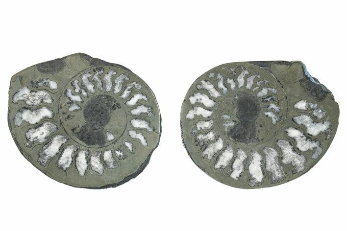 Pyritized Shells 1.7