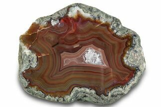 Colorful, Polished Condor Agate - Argentina #277694