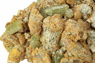 Lustrous, Yellow Apatite Crystals on Calcite - Morocco #277800
