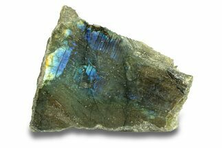 Single Side Polished Labradorite Slab - Madagascar #278217