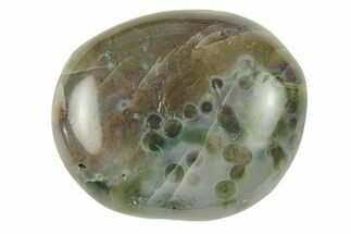 Polished Ocean Jasper Stone - New Deposit #277004