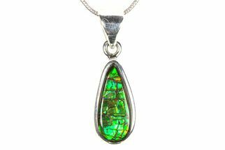 Stunning Ammolite Pendant (Necklace) - Sterling Silver #278383