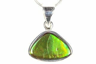 Stunning Ammolite Pendant (Necklace) - Sterling Silver #278406