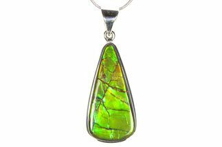 Stunning Ammolite Pendant (Necklace) - Sterling Silver #278410