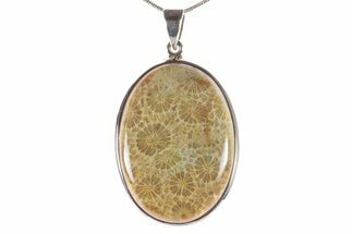 Polished Fossil Coral Pendant - Sterling Silver #279238
