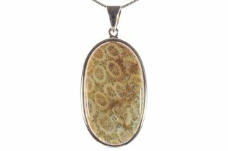 Polished Fossil Coral Pendant - Sterling Silver #279239