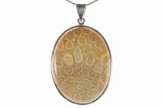 Polished Fossil Coral Pendant - Sterling Silver #279242