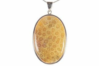 Polished Fossil Coral Pendant - Sterling Silver #279243