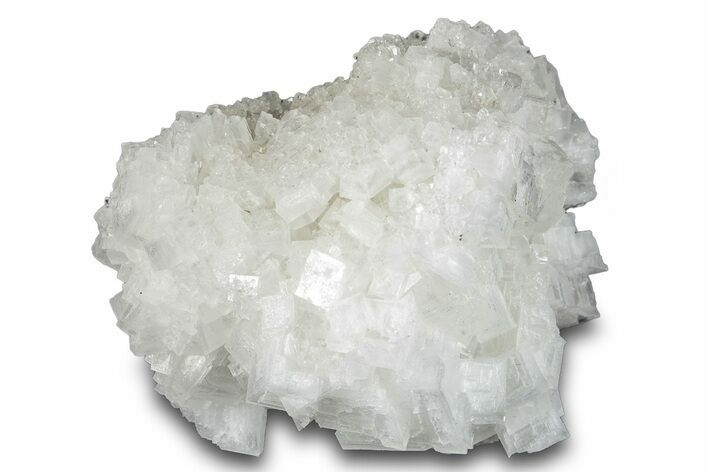 Red Halite 2.3