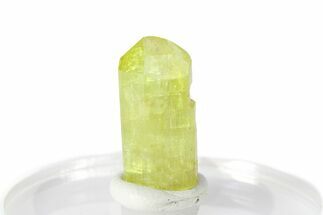 Gemmy Yellow-Green Apatite Crystal - Morocco #276544