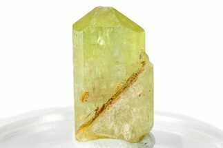 Gemmy Yellow-Green Apatite Crystal - Morocco #276547