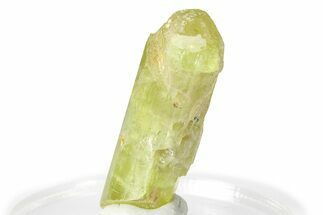 Gemmy Yellow-Green Apatite Crystal - Morocco #276555