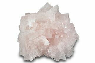 Pink Halite Crystal Cluster - Trona, California #279791