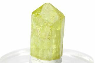 Gemmy Yellow-Green Apatite Crystal - Morocco #276526