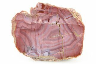 Polished Pilbara Agate Nodule - Oldest Known Agate #279785