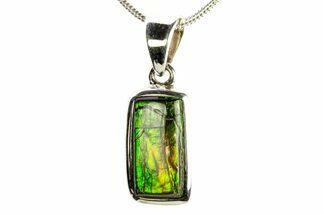 Stunning Ammolite Pendant (Necklace) - Sterling Silver #280061