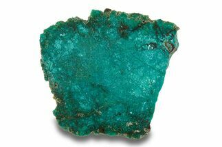 Colorful Chrysocolla and Shattuckite Slab - Mexico #280129