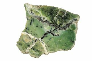 Polished Green-White Opal Slab - Western Australia #280157