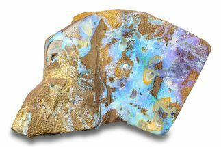Electric Blue Boulder Opal Specimen - Queensland, Australia #280246