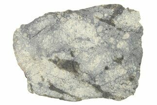 Eucrite Meteorite Slice ( g) - From Vesta Minor-Planet #280641