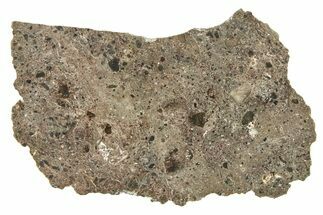 Polished Lunar Meteorite Slice ( g) - Tisserlitine #280681