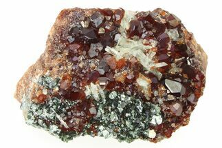 Deep-Red, Gemmy Hessonite Garnets with Clinochlore - Italy #280743