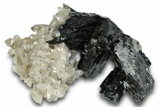 Smoky Quartz Crystals on Black Tourmaline (Schorl) - Namibia #280750