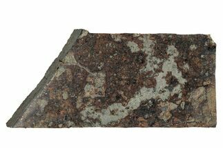 Holbrook Chondrite Meteorite Fragment ( g) - Arizona #280784