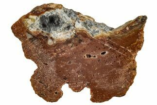 Lunar Meteorite Fragment ( g) - Bechar #280871