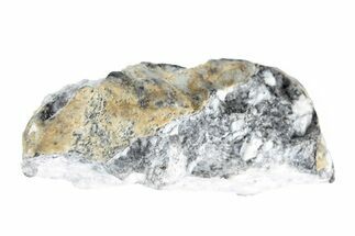 Tiglit Aubrite Meteorite ( g) - Witnessed Fall! #280941