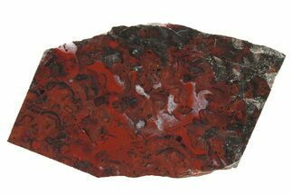 Polished Stromatolite (Collenia) Slab - Minnesota #281168