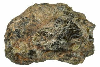 Diogenite Meteorite ( g) - From Vesta Micro-Planet #281041