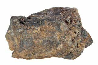 Pallasite Meteorite ( g) - NWA #281358