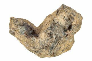 Pallasite Meteorite ( g) - NWA #281363