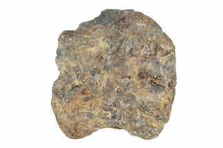 Pallasite Meteorite ( g) - NWA #281368