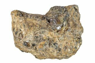 Pallasite Meteorite ( g) - NWA #281376