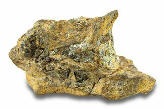 Pallasite Meteorite ( g) - NWA #281420