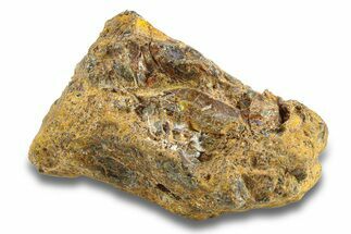 Pallasite Meteorite ( g) - NWA #281432