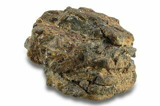 Pallasite Meteorite ( g) - NWA #281454