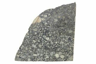 Aba Panu Chondrite Meteorite ( g) - Witnessed Fall! #281471