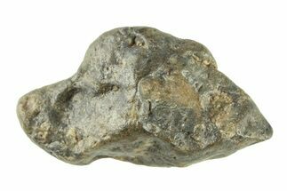 Lunar Meteorite ( g) - Laayoune #281563