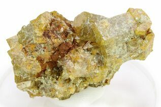Buy Beryl