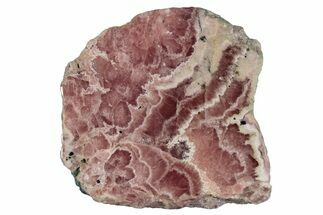 Polished Banded Rhodochrosite Section - Argentina #281822