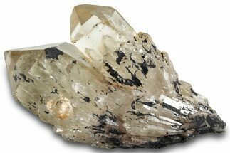 Smoky Citrine Crystal Cluster - Lwena, Congo #281863