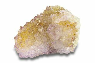 Cactus Quartz (Amethyst) Crystals - South Africa #281888