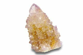 Cactus Quartz (Amethyst) Crystal - South Africa #281890