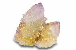 Cactus Quartz (Amethyst) Crystal Cluster - South Africa #281898