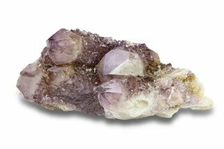 Cactus Quartz (Amethyst) Crystal Cluster - South Africa #281904