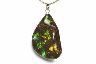 Brilliant Ammolite Pendant (Necklace) - Alberta, Canada #282472